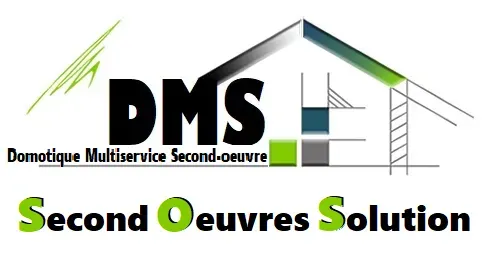 Logo-dms